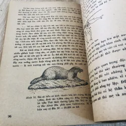 Đời sống các loài thú 1979 929091