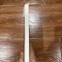 Mèo mặt nhọ 2 (12) 1024242