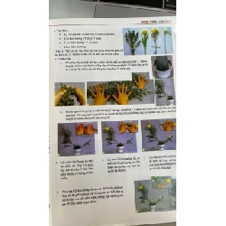 Nghệ Thuật Cắm Hoa - Thục Nữ 1049263