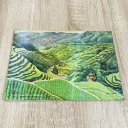 KỲ QUAN CỦA CHÂU Á CHÚNG TA  995204