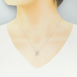 Tiffany 925 Necklace - Hàng hiệu Authentic 843862