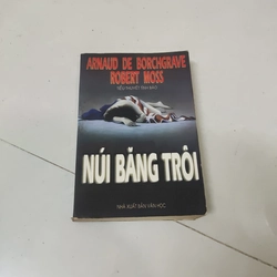 Núi băng trôi 