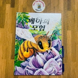 Set sách tranh cho bé 아이성장 그림책   496934