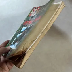 Hỏi đáp về giới tính và tình dục - 1997s 573278
