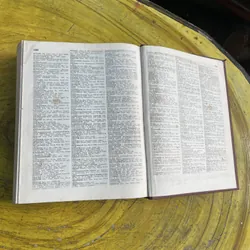 BÁCH KHOA TOÀN THƯ NGA - BẢN TIẾNG NGA 735074