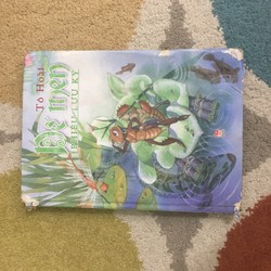Dế mèn phiêu lưu ký - bìa cứng khổ to in màu
