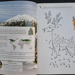 Bộ sách khám phá Việt Nam - Khám phá rừng Tam Đảo 737117