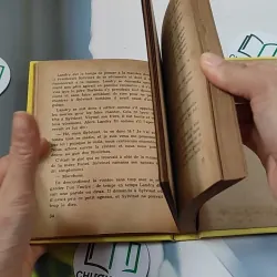 [MIỄN PHÍ BỌC SÁCH] La Petite Fadette - George Sand 749583