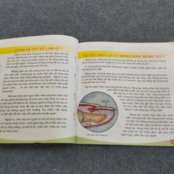 CƠ THỂ NGƯỜI 549894