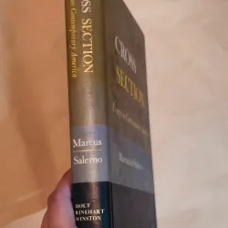 Cross Section: Essays on Contemporary America (Hardcover) 1004722