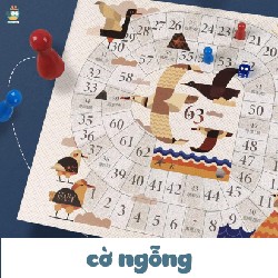 Bộ cờ 15 trong 1 các cấp độ  1377