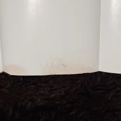 Yến Hội - Plato 1003394