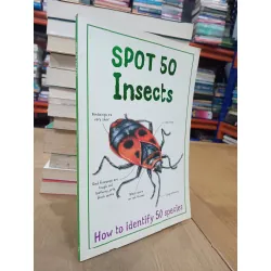 Spot 50 insects: How to identify 50 species