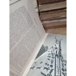 Maisons dans le monde - Larousse 792291