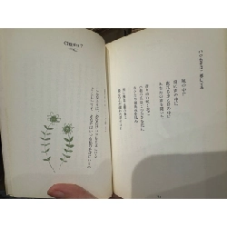 Sách tiếng Nhật 53 185119