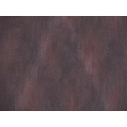 Áo khoác đường đi đơn lớp dài - Hàng hiệu Authentic 875514