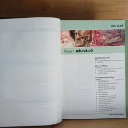 Atlas Giải Phẫu Người (Ấn Bản Lần Thứ 5) - Frank H. Netter, MD 570689