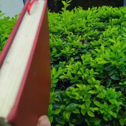 Thơ ca Việt Nam hình thức và thể loại  960859