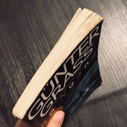 Bò ngang - Gunter Grass 491665