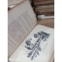 Original engraving in colours - René Ligeron 759580