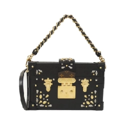 Túi xách vai Louis Vuitton Monogram Petit Mal M55751