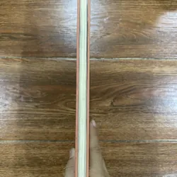 BÁCH KHOA THƯ HỌC SINH LƯỜI: NHỮNG KẺ PHÁ CÁCH, BẬC THIÊN TÀI (o3) 594332