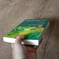Tôi thấy hoa vàng trên cỏ xanh 577017