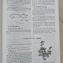 CÂY THUỐC VỊ THUỘC VIỆT NAM  931945