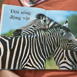 Bách khoa động vật cho trẻ em- khổ A3 to in màu 1029770