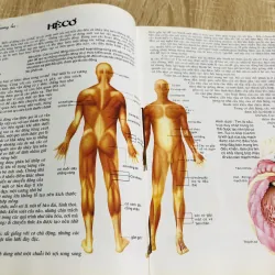 GIẢI PHẪU HỌC 2000 1013039