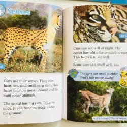 Oxford read and discover (Sách nhập) - Level 1 - 20 quyển + File Mp3 799723