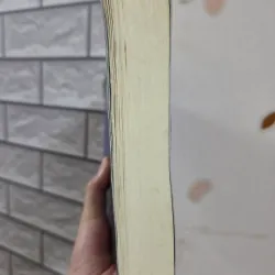 Kẻ nhìn trộm - Tần Minh 931347