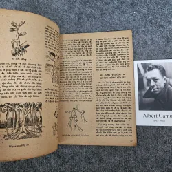 Bí mật kim tự tháp ai cập 1024936