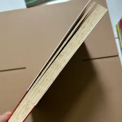 Ai hiểu khách hàng người ấy bán được hàng - Lí Kiện Lâm 748232