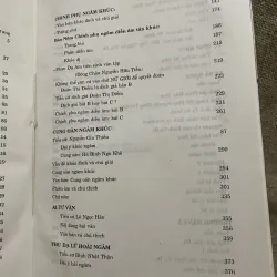 Tổng tập văn học Việt Nam 13B NGÂM KHÚC  975674