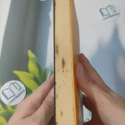 Trên Đường Băng - Tony Buổi Sáng 961234