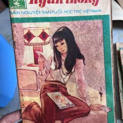 NGÀN THÔNG - VI VI 995495