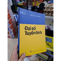 Đại Số Tuyến Tính - Nguyễn Hữu Việt Hưng - 2019 mới 90% - GIÁO KHOA - HCM3012