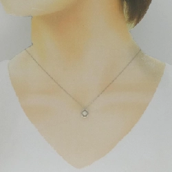 Dây chuyền kim cương PT900 0.20CT - Hàng hiệu Chính hãng 863615