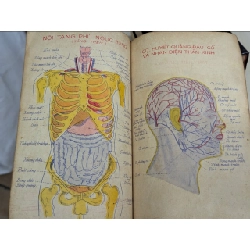 Cẩm nang châm cứu - Thượng Trúc 137681