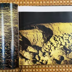 Sơn Đoòng tranh 591000