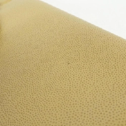 Túi Chanel - Hàng hiệu Chính hãng 766987