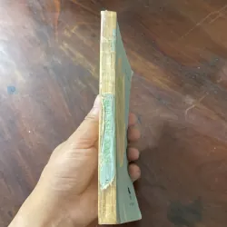 BÚP SEN XANH, SƠN TÙNG (XB 1984) 1035579
