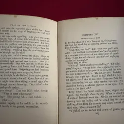 Sách ngoại văn tiếng Anh - Flag of the desert 713370