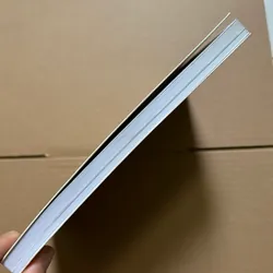 Quá trẻ để chết, hành trình nước Mỹ - Đinh Hằng 733651