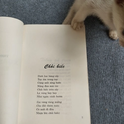 XUÂN QUỲNH THƠ VÀ ĐỜI 533385