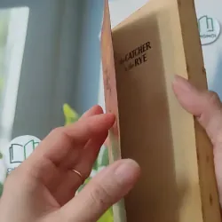 [MIỄN PHÍ BỌC SÁCH] [XƯA] The Catcher in the Rye (1951) - J. D. Salinger 1027211