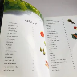 NGHỆ THUẬT TRANG TRÍ & CẮT TỈA TRÁI CÂY 777971