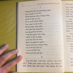 Kinh Phạm Võng Bồ Tát Giới - HT Thích Trí Tịnh dịch 603777