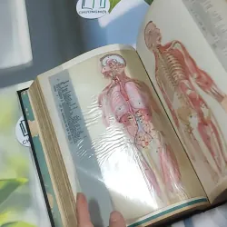 [MIỄN PHÍ BỌC SÁCH] Encyclopedia Americana 30 - Scholastic 750842